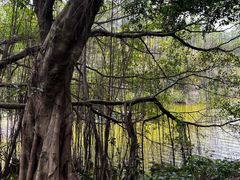 -李小龙乐园(顺德均安店)