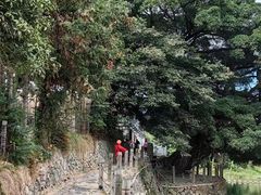 -南靖田螺坑土楼群景区