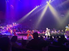 -珠海横琴长隆《卡卡虎奇遇记》