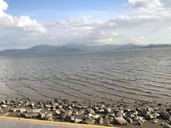 -深圳湾公园(南山区)