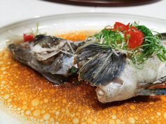 -娱筷海鲜酒家(广州南沙店)