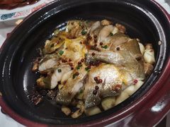 红胡椒煎焗大黄鱼-在前门·烤鸭北京菜(五月花广场店)