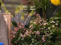 -第101座花园餐厅(湖滨88店)