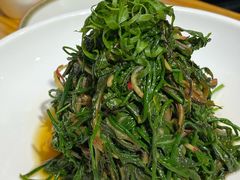 -十二毡房蒙餐·蒙古包