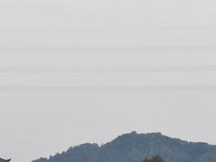 -长洲岛都市农业公园