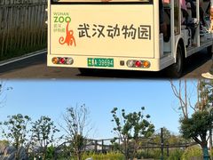-武汉动物园