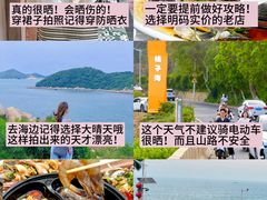 -南澳岛打卡果汁冰公司
