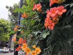 -飞马旅黎黄陂路文旅街区