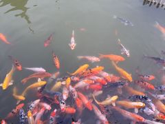 -檀园