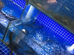 -金丰鱼庄(四团店)