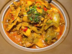 -洞庭家宴·头牌甲鱼(广渠门店)