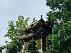 -上海东林寺(金山区)