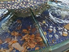 -天津包子铺·海鲜家常菜(北戴河店)