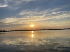-鹅湖玫瑰文化园
