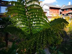 -桥香园云南过桥米线(金马碧鸡店)