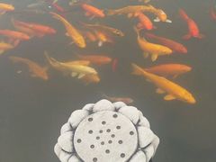 -信阳灵山风景区