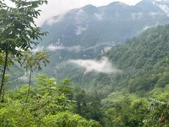 -鹿院坪生态旅游景区