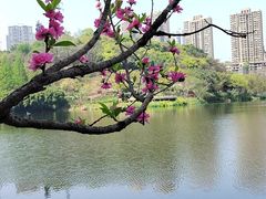 -重庆彩云湖湿地公园