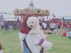 -栖露营camping·天幕烧烤·团建拓展·采摘营地