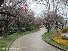 -无锡梅园公园