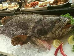 android_upload_pic-玫瑰园西餐厅