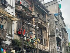 -清平路水族市场