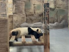 -无锡动物园·太湖欢乐园