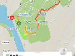 -铁山坪森林公园