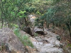 -梧桐山风景名胜区