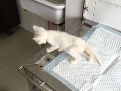 -畜牧兽医站(共江路店)