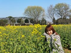 -武汉紫薇都市田园