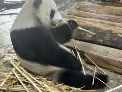 -海南热带野生动植物园