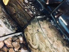 -渔中舟海鲜大排档(普陀沈家门店)