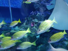 -成都浩海立方海洋公园