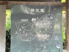 -杨家堂村