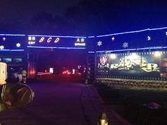-枫花园汽车电影院(朝阳公园店)