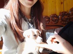 -86烧烤·炭火烧烤 (石人总店)