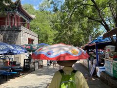 -老三羊汤【北兴隆街店】