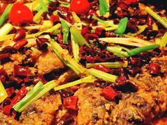 -老板恋上鱼(恒隆广场店)