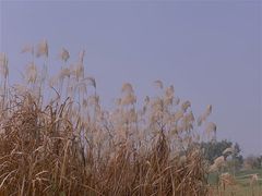 -良渚古城遗址公园