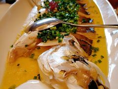白鱼-龙吟九品(青龙山庄店)
