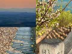 -帽儿山国家森林公园