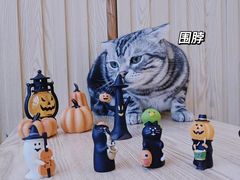 -Catmate·猫肥家润(金润铂宫店)