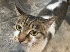 -铜瓢江湖兔火锅(水碾河社区店)