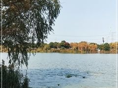 -九里河湿地公园