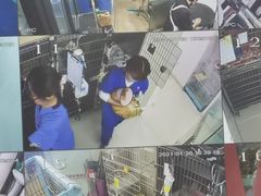 -哆趣宠物医院·眼科·内镜·急重症转诊中心(上海店)