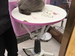 -FAELING PETS美天灵宠物(富力广场店)