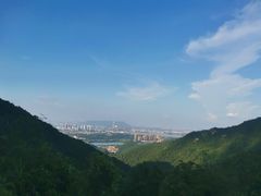 -南海湾森林生态园