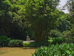 -广州市白云山风景名胜区