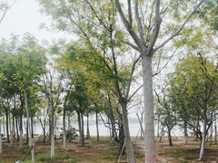 -天津东丽湖风景区